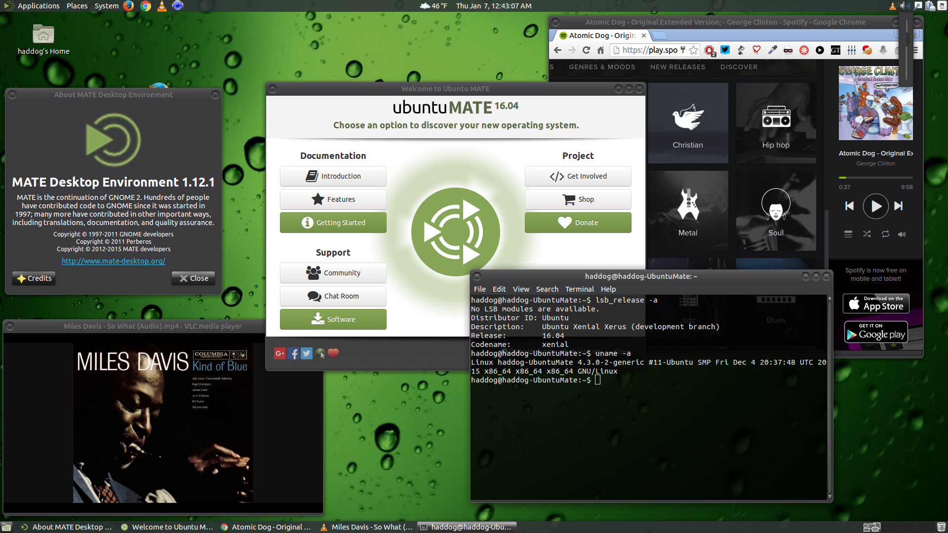 advocaat Seraph Het spijt me Ubuntu Mate 16.04 Alpha Xenial Xerus - Screenshots - Ubuntu MATE Community