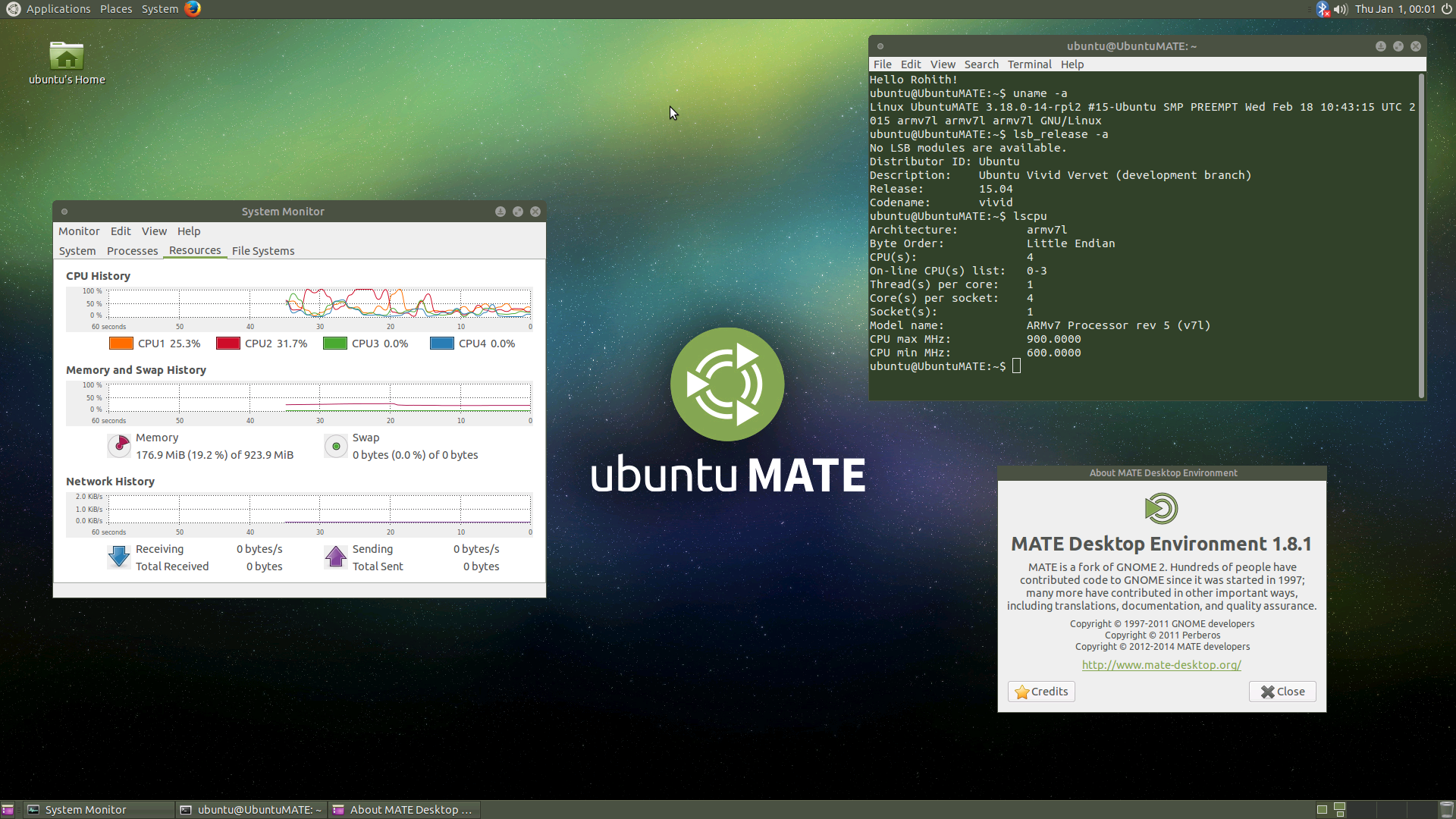 linux mint lite