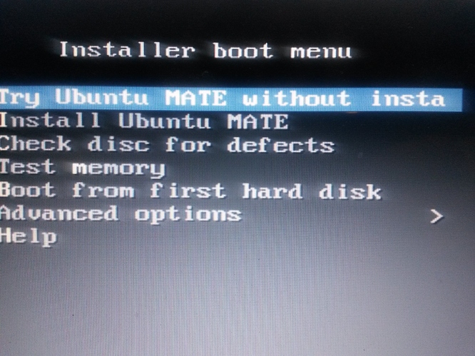 universal usb installer ubuntu not booting