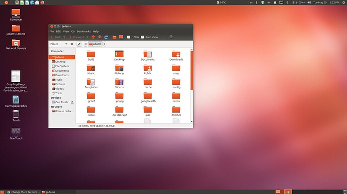Screenshot at 2025-05-20 17-22-31
