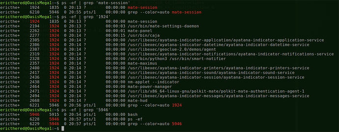 SNAPSHOT__UserSession_UserShell