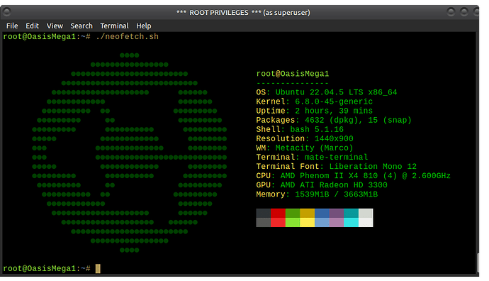 SNAPSHOT__neofetch_customized