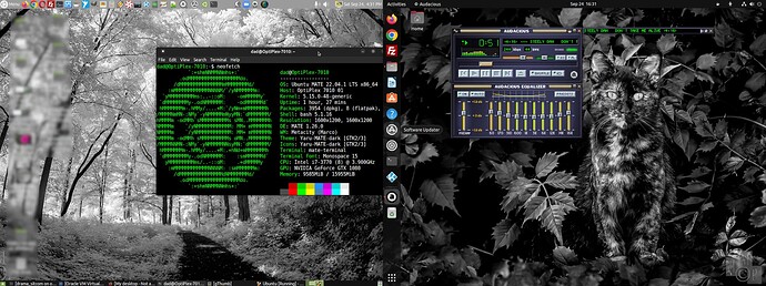 Host-Mate22.04_GuestOSUbuntuDesktop22.04