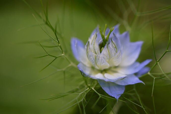 2021-06-04_17-47-25_dsc02329-2