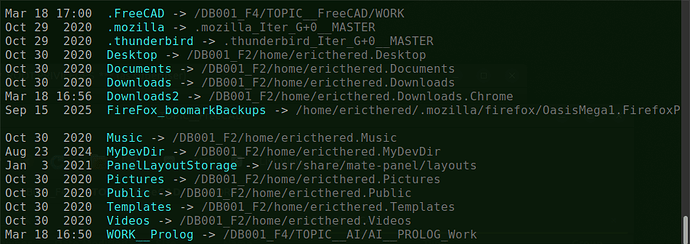 SNAPSHOT__HomeDirSymLinks