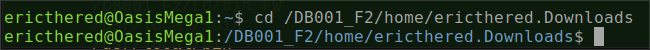 Bash prompt displayed by PS1 string