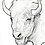 tatanka